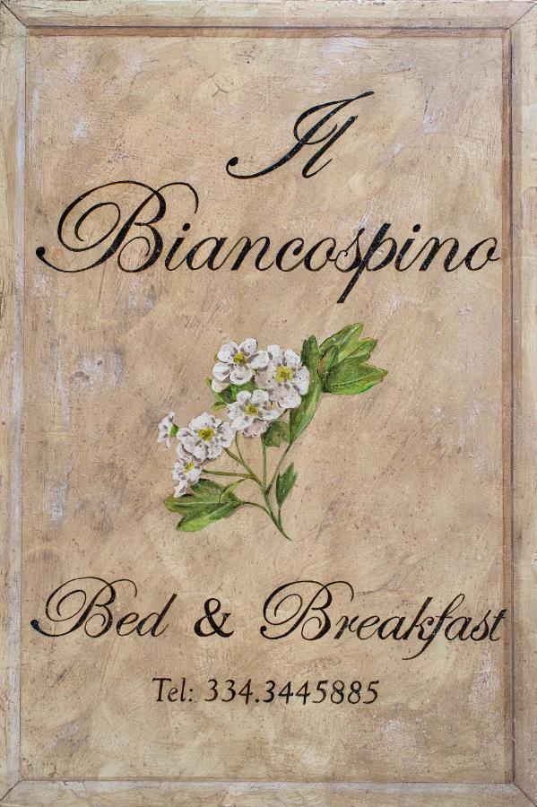 B&B Il Biancospino Аббадія-Сан-Сальваторе Екстер'єр фото